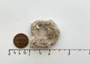 D a Natural Holey Beach Rock large hole Hag Stone Fairy Wish Magical letter USA