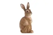 Esschert Design Sitting Hare Statue Garden Decor Animal Ornament Brown