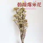 現貨🌻米香花 爆米花 不凋米香花 乾燥花材 天然乾燥花 花藝材料 乾燥花 花材 永生花 不凋花 天然乾燥花 花束