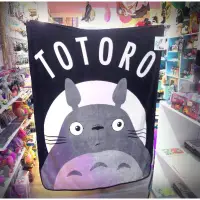 在飛比找蝦皮購物優惠-「Totoro 宮崎駿 龍貓 毛毯/棉被/被子/懶人毯 12