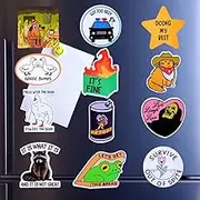 YJ PREMIUMS 12PC Funny Fridge Magnets Cute Fun Sassy Quirky Novelty Magnet for Adults Car Desk Kitchen Meme This is Fine Dumpster Dog Live Laugh Love Howdy Silly Goose Bumps Raccoon Accessories Gifts