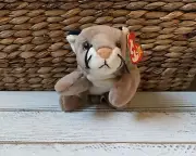 Beanie Baby Canyon The Cougar Ty Beanie Baby With Error