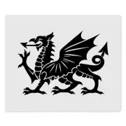 2 x 'Welsh Dragon' Microfibre Lens / Glasses Cleaning Cloths (LC00027902)