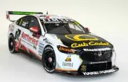 1/18 ZB COMMODORE - BJR - HEIMGARTNER/WOOD #8 - R&J Batteries - 2022 Bathurst