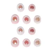 10Pcs Aquarium Shells Jellyfish Sea Urchin Urchin Shell Holder