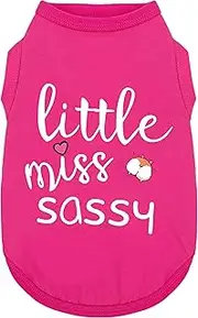 Paiaite Dog Clothes Fashionable Sleeveless Pet Vest: 'Little Miss Sassy' Printed Cotton Dog Shirt, Ideal for Small, Medium, and Large Breeds, Ensuring Comfort and Breathability Rose Red S
