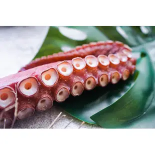 【一井水產】日本 北海道 熟凍 巨大章魚腳 章魚