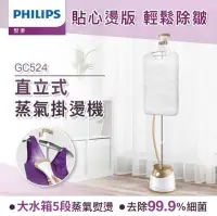 在飛比找Yahoo!奇摩拍賣優惠-【Philips 飛利浦】頂級版直立式5段蒸氣掛燙機 (霧感