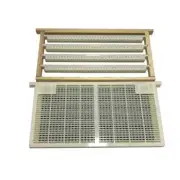 1set queen rearing system bee larva cell cups frame cage for cqr-3 Royal jelly