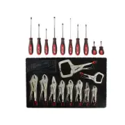 Milwaukee Tri-Lobe Combination Screwdriver + Torque Locking Plier Kit (20-Piece)