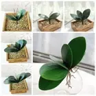 Real Touch Artificial Orchid Leaves EVA Fake Phalaenopsis Plant Wedding