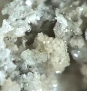 Fluellite Crystals. Tom's Quarry. Sth Australia (EA10094) rare phosphates
