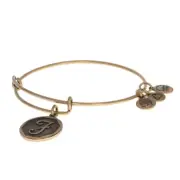 NEW Alex and Ani Initial F Bracelet - Gold Toned Monogram Letter Adjustable