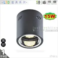 在飛比找樂天市場購物網優惠-【吸頂筒燈】E27 PAR30 LED 15W 17公分 黑