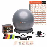 WISEMAX Exercise Ball Chair – Stability Yoga Balance Ball with Inflatable Ring