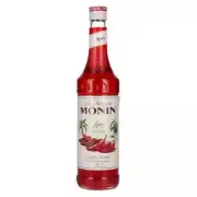 Monin SPICY Syrup 0.7l