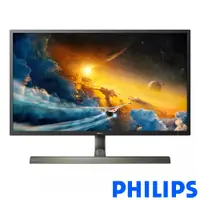 在飛比找蝦皮商城優惠-PHILIPS 飛利浦 43型 439M1RV 電競螢幕 H