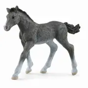 Trakehner Foal Figurine 13944