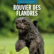 2025 Calendar Bouvier des Flandres 16-Month Square Wall Red Robin RR250072