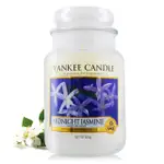 YANKEE CANDLE香氛蠟燭-茉莉 MIDNIGHT JASMINE(623G)