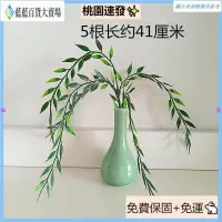 在飛比找蝦皮購物優惠-🌸台灣熱銷🌸觀音法器💕塑料 柳枝 觀音菩薩 法器 配件 觀世