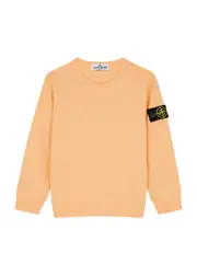 Stone Island Kids Logo Cotton Sweatshirt (6-8 Years) - Orange - 08YR (8 Years) 08YR (8 years)