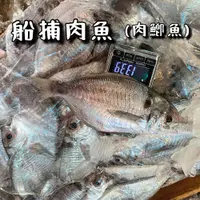 在飛比找蝦皮購物優惠-【魚皮】船捕肉魚 肉鯽魚 500-600g /3入｜鯽魚