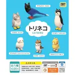 「BUY起來！」『現貨』貓鳥 全套6款 意識型態 白色吉米 貓鳥 麻雀 貓頭鷹 台灣藍鵲 企鵝 轉蛋 扭蛋