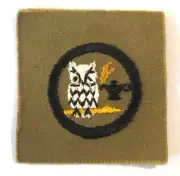 1920 Girl Scout Khaki SCHOLARSHIP BADGE Owl Lamp Knowledge Patch Book Finder NEW
