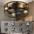 Caged Ceiling Fan with Lights Remote Control 20.5 Inch Black