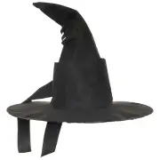 Wizard Hat Curved Black Adult Costume Accessory - Morris Costumes