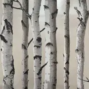 Birch Trees Wallpaper Fine Decor Cream/Silver