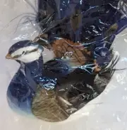 Blue Peacock 4 Inch ACM #BRD223 Natural Feather Bird Decoration