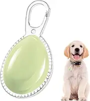 Dog Light | Collar Light for Dogs at Night Rechargeable,LED Luminous Anti-Lost Waterproof Pendant Accessories for Pet Safety, Puppy, Running, Cycling, Camping