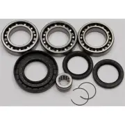 All Balls Rear Differential Bearing and Seal Kit 25-2079