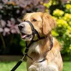 Anti barking Non Pull Leader Harness Dog Halter Dog Head Collar Dog Muzzle