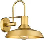 EMLIVIAR Industrial Sconces Wall Lighting Indoor Outdoor Barn Light Fixture, 12'' Gooseneck Wall Lamp for Bathroom Bedroom Kitchen Garage, AUJX18-1W BG