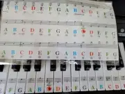 Piano Keyboard Sticker Label Large Note for Electronic Keyboards or Piano