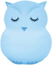 Crest Kids Multi-Coloured Mini Night Light Owl