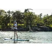 Save 19.99%! Victoria Harbour Stand-Up Paddleboard Tour