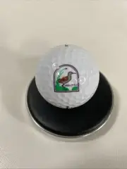 Collectible SANDPIPER BAY GOLF CLUB COURSE LOGO BALL Pinnacle 4