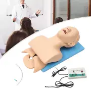 Intubation Manikin Teaching Model Intubation Training Model Education Training