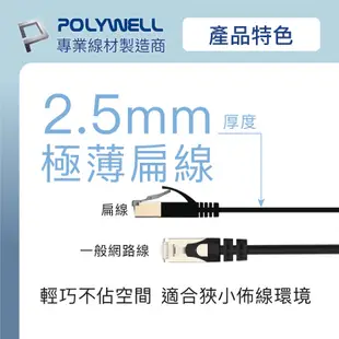 POLYWELL CAT6A扁線 15米 20米 高速網路線 RJ45 福祿克認證 寶利威爾 台灣現貨