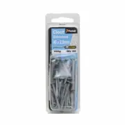 Paslode 40 x 2.8mm 100g Galvanised Clout Nails - 40 Pack
