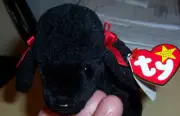 Ty Beanie Babies Black GiGI Poodle Dog Born April 7, 1997 Mint Retired!