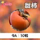 梨山公主 甜柿9A 10粒(5台斤)