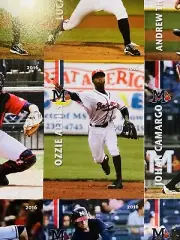 EBAY 1/1 RARE 2016 UNCUT PRINTING SHEET MISS BRAVES OZZIE ALBIES SWANSON ROOKIE