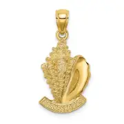 14k Yellow Gold Turks & Caicos Words Under Conch Shell Charm Pendant