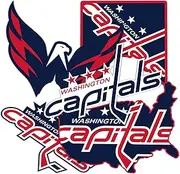 Desert Cactus Washington Capitals Stickers Team NHL National Hockey League Vinyl Decal Laptop Water Bottle Car Scrapbook (Type 2-3)