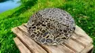 Round Black Agate Stone Coffee Table Top handmade Gemstone Furniture Luxury Top